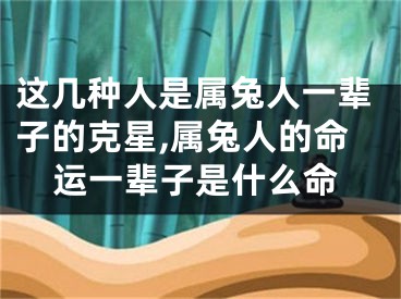 这几种人是属兔人一辈子的克星,属兔人的命运一辈子是什么命
