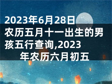 2023年6月28日农历五月十一出生的男孩五行查询,2023年农历六月初五
