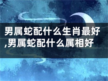 男属蛇配什么生肖最好,男属蛇配什么属相好