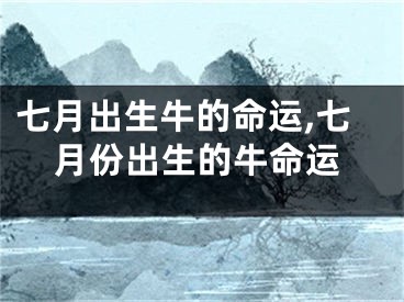 七月出生牛的命运,七月份出生的牛命运