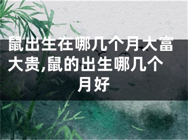 鼠出生在哪几个月大富大贵,鼠的出生哪几个月好