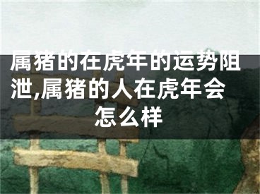 属猪的在虎年的运势阻泄,属猪的人在虎年会怎么样