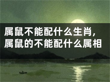 属鼠不能配什么生肖,属鼠的不能配什么属相