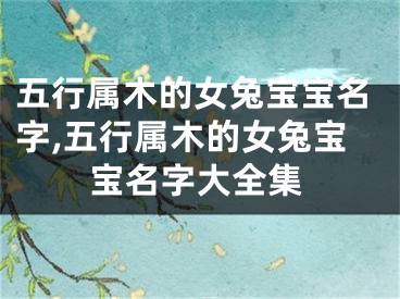 五行属木的女兔宝宝名字,五行属木的女兔宝宝名字大全集