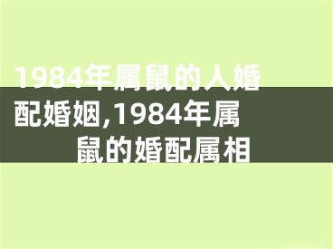 1984年属鼠的人婚配婚姻,1984年属鼠的婚配属相