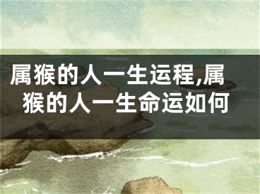 属猴的人一生运程,属猴的人一生命运如何