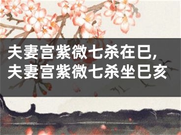 夫妻宫紫微七杀在巳,夫妻宫紫微七杀坐巳亥