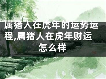 属猪人在虎年的运势运程,属猪人在虎年财运怎么样