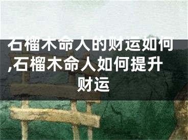 石榴木命人的财运如何,石榴木命人如何提升财运