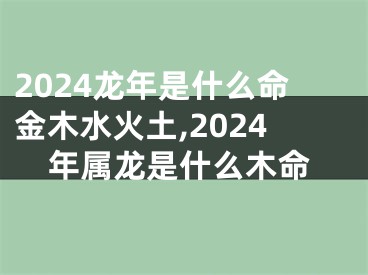 2024龙年是什么命金木水火土,2024年属龙是什么木命