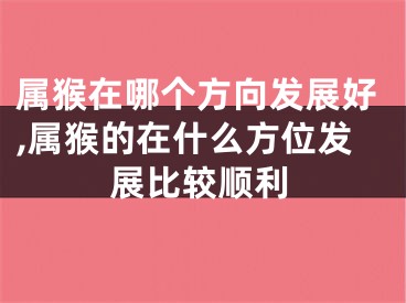 属猴在哪个方向发展好,属猴的在什么方位发展比较顺利
