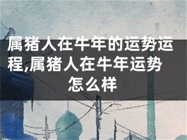 属猪人在牛年的运势运程,属猪人在牛年运势怎么样