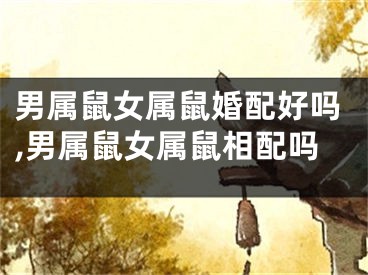 男属鼠女属鼠婚配好吗,男属鼠女属鼠相配吗