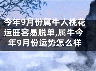 今年9月份属牛人桃花运旺容易脱单,属牛今年9月份运势怎么样