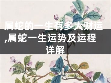 属蛇的一生有多大财运,属蛇一生运势及运程详解