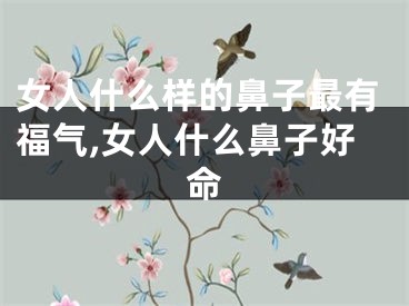 女人什么样的鼻子最有福气,女人什么鼻子好命