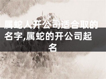 属蛇人开公司适合取的名字,属蛇的开公司起名