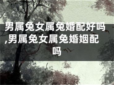 男属兔女属兔婚配好吗,男属兔女属兔婚姻配吗