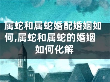 属蛇和属蛇婚配婚姻如何,属蛇和属蛇的婚姻如何化解