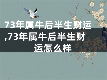 73年属牛后半生财运,73年属牛后半生财运怎么样