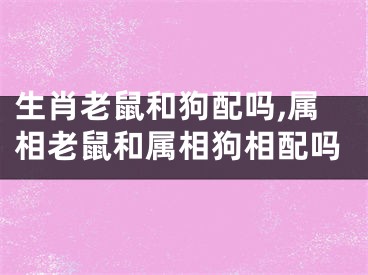 生肖老鼠和狗配吗,属相老鼠和属相狗相配吗