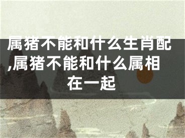 属猪不能和什么生肖配,属猪不能和什么属相在一起