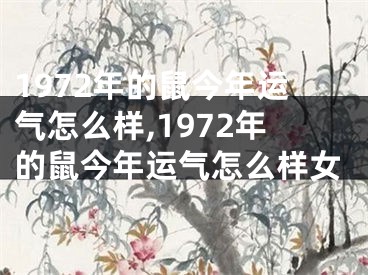 1972年的鼠今年运气怎么样,1972年的鼠今年运气怎么样女