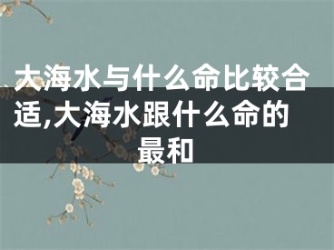 大海水与什么命比较合适,大海水跟什么命的最和