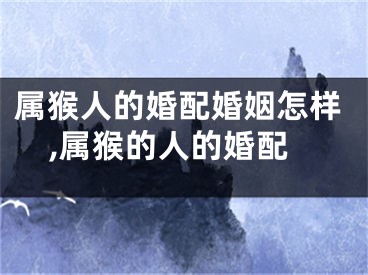 属猴人的婚配婚姻怎样,属猴的人的婚配