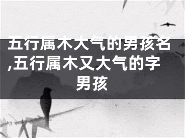 五行属木大气的男孩名,五行属木又大气的字男孩
