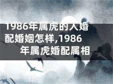 1986年属虎的人婚配婚姻怎样,1986年属虎婚配属相