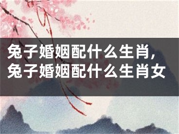 兔子婚姻配什么生肖,兔子婚姻配什么生肖女
