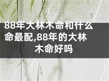 88年大林木命和什么命最配,88年的大林木命好吗