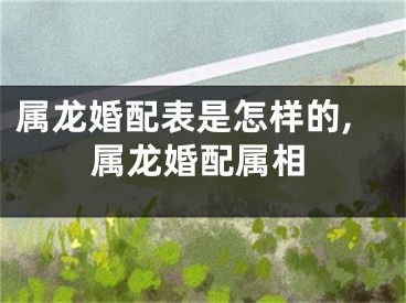 属龙婚配表是怎样的,属龙婚配属相