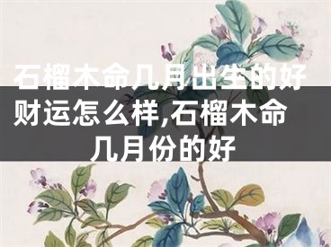 石榴木命几月出生的好财运怎么样,石榴木命几月份的好