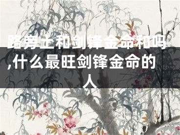 路旁土和剑锋金命和吗,什么最旺剑锋金命的人