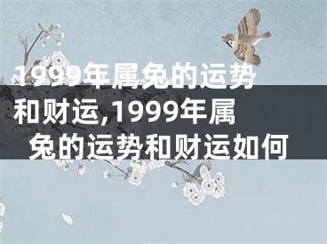 1999年属兔的运势和财运,1999年属兔的运势和财运如何