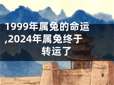 1999年属兔的命运,2024年属兔终于转运了