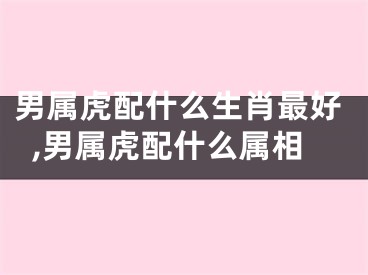 男属虎配什么生肖最好,男属虎配什么属相