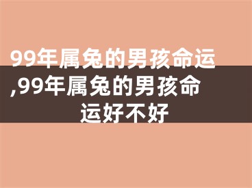 99年属兔的男孩命运,99年属兔的男孩命运好不好
