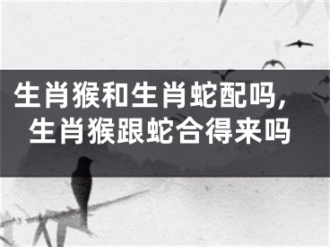 生肖猴和生肖蛇配吗,生肖猴跟蛇合得来吗