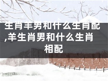 生肖羊男和什么生肖配,羊生肖男和什么生肖相配