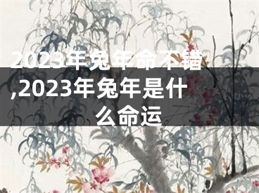2023年兔年命不错,2023年兔年是什么命运