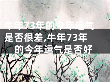 牛年73年的今年运气是否很差,牛年73年的今年运气是否好