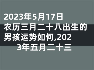 2023年5月17日农历三月二十八出生的男孩运势如何,2023年五月二十三