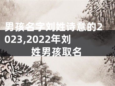 男孩名字刘姓诗意的2023,2022年刘姓男孩取名
