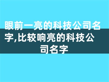 眼前一亮的科技公司名字,比较响亮的科技公司名字