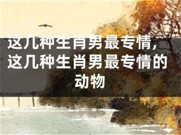 这几种生肖男最专情,这几种生肖男最专情的动物