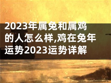 2023年属兔和属鸡的人怎么样,鸡在兔年运势2023运势详解