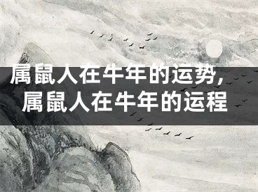 属鼠人在牛年的运势,属鼠人在牛年的运程